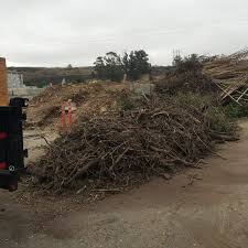 Yard Debris Removal project 3
